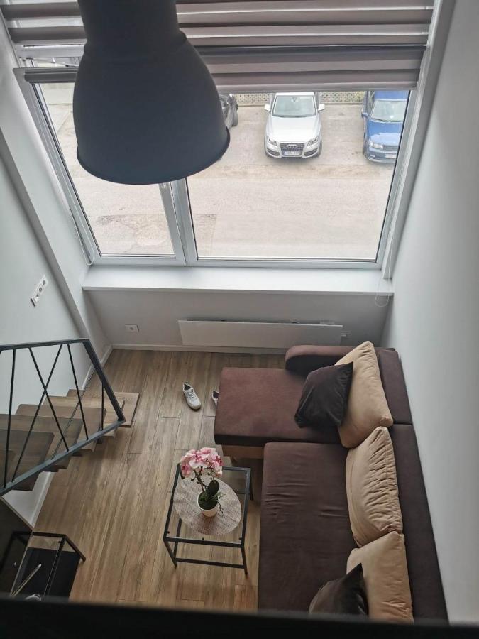 Lofto Tipo 2 Kambariu Butas Apartment Kaunas Exterior foto
